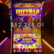 A Popularidade dos Caça-Níqueis no 777AA